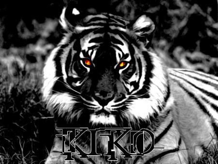 the king